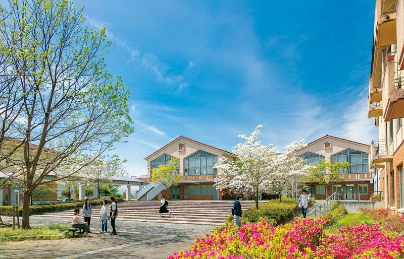 Du học Nhật Bản tại Yamanashi và những điều cần biết